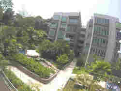 The Raintree (D21), Condominium #174889882